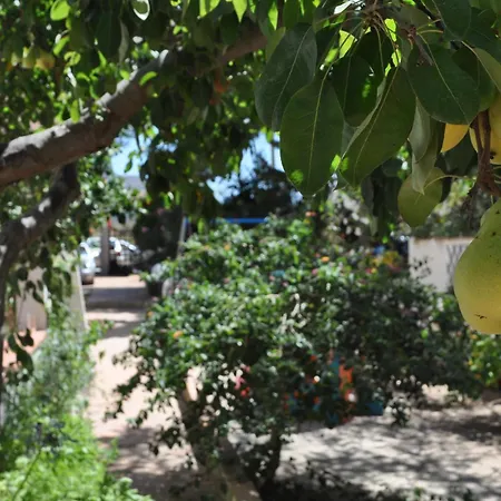 Villa Hibisco