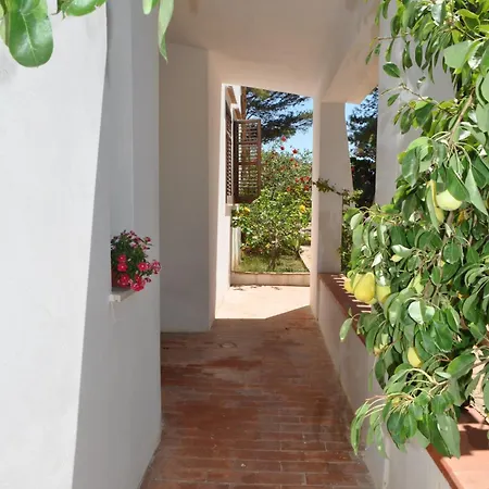 Villa Hibisco San Vito Lo Capo